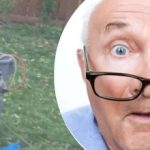 একটি গাছের কাছে একটি অদ্ভুত আবিষ্কার প্রতিবেশীকে বিভ্রান্ত করে: সে